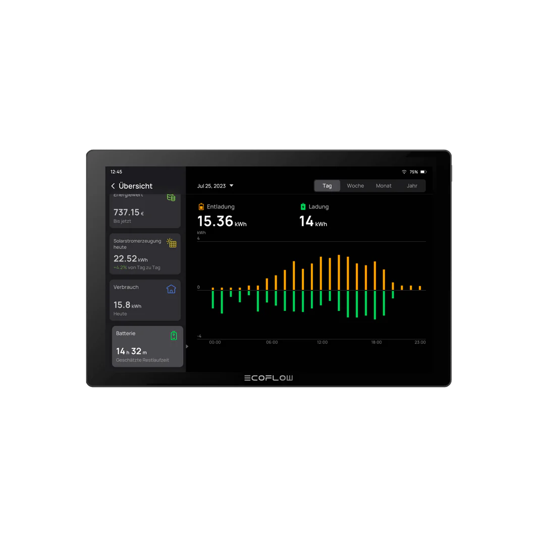 EcoFlow Hausenergie Monitor PowerInsight