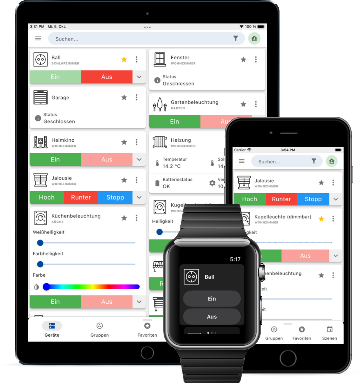 everHome EcoTracker Smart Meter